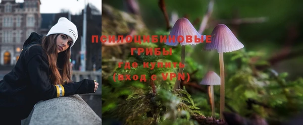 эйфоретик Рославль