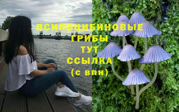 сатива Гусиноозёрск