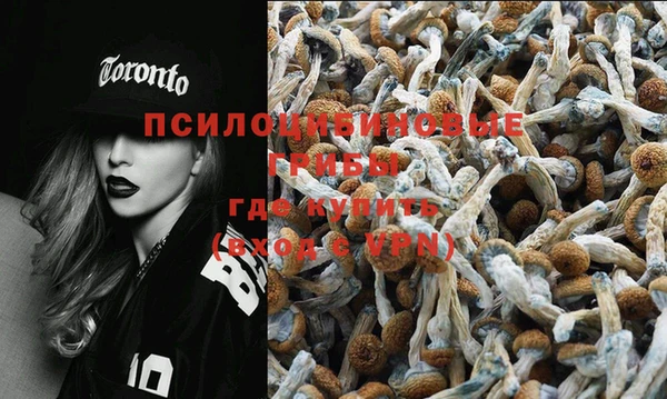 сатива Гусиноозёрск