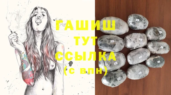 сатива Гусиноозёрск