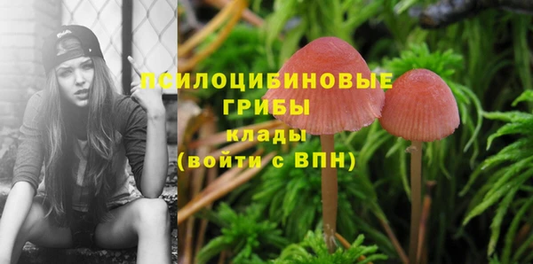 сатива Гусиноозёрск